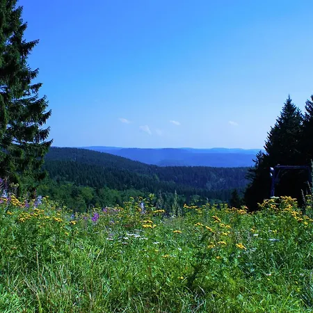 Casa vacanze Vibrant Near Ski Area In Steina *