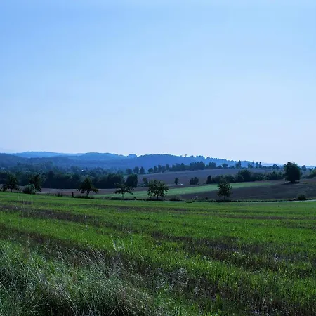 Vibrant Near Ski Area In Steina Bad Sachsa
