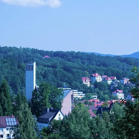 Vibrant Near Ski Area In Steina