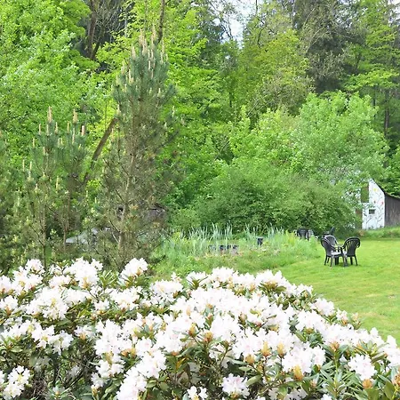 Vibrant Near Ski Area In Steina